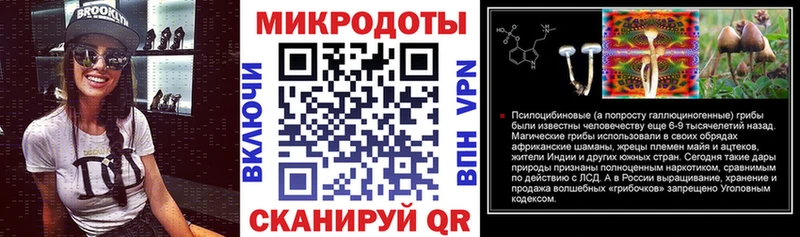даркнет сайт  Сураж  Псилоцибиновые грибы Psilocybine cubensis 